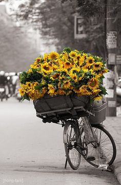 there is a bicycle with flowers in the basket