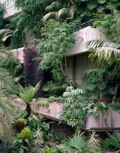 the building is surrounded by many trees and plants