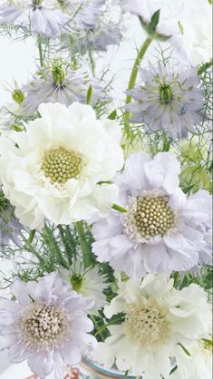 white and purple flowers are in a vase