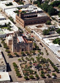 an aerial view of a city with lots of buildings and palm trees in the foreground