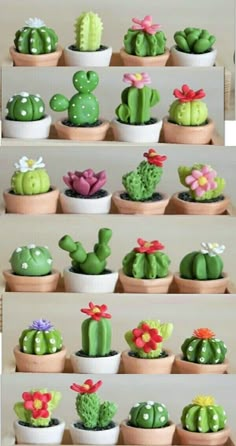 many different kinds of cactus in small pots with flowers and leaves on the top one