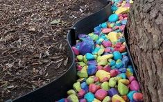 there are many colorful rocks on the ground next to a tree