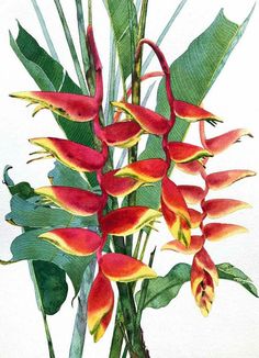 a watercolor painting of red and yellow flowers