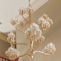 a chandelier hanging from the ceiling in a room with beige walls and wood floors