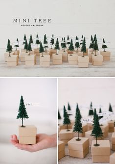 small wooden boxes with trees on them are shown in three different pictures, one is made from cardboard and the other is made out of wood