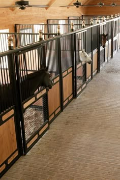 two horses are standing in their stalls at the stable