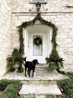 a black dog standing in front of a white door with greenery on the steps