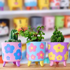 three flower potted plants sitting on top of a wooden table next to each other