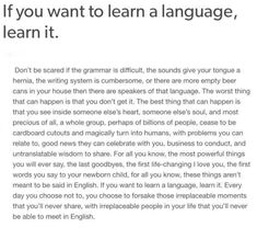 an article about how to learn language