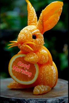 an orange stuffed animal sitting on top of a piece of fruit that says good morning