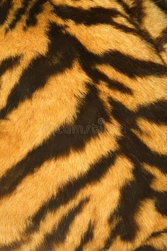 an animal fur pattern is shown in close up view royalty images and clippings