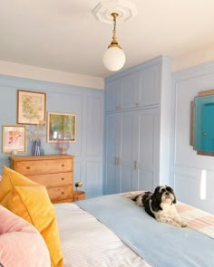 a dog laying on top of a bed in a room with blue walls and furniture