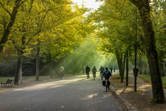 many people are walking down the path in the park on bicycles and scooters