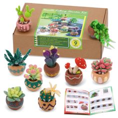 an assortment of miniature succulents and plants are in a cardboard box next to a book