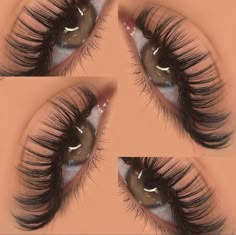 Bold Eyelash Extensions, Light Volume Lash Extensions Cat Eye Wispy, Almond Eyes Eyelash Extensions, Full Lash Extensions Styles, Bushy Lashes, Full Wispy Eyelash Extensions, Wispy Mega Volume Lash Extensions, Volume Hybrid Lash Extensions, Cat Eye Hybrid Lash Extensions