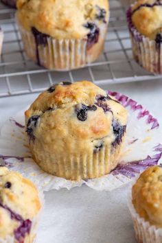 blueberry muffins cooling on a rack with other muffins in the background