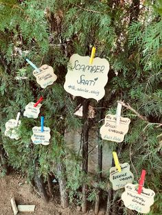 a group of signs hanging from the side of a tree