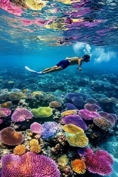 a person swimming over a colorful coral reef