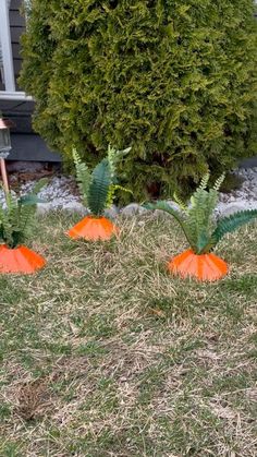 three orange pumpkins sitting in the grass next to a bush and house on a sunny day