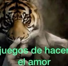 a tiger with its head in the palm of it's hand that says, iguagos de hacer elamor