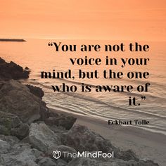 the quote you are not the voice in your mind, but the one who is aware of it