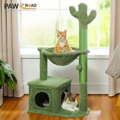 two cats sitting on top of a cat tree