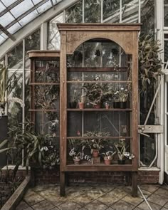 a wooden shelf filled with potted plants inside of a glass walled greenhouse area,