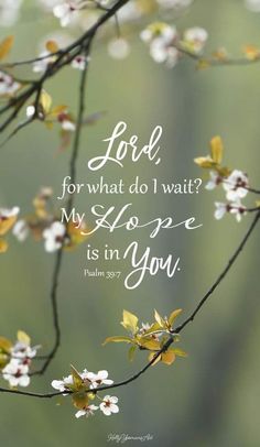 a tree branch with white flowers and the words, lord for what do i wait? my hope is in you