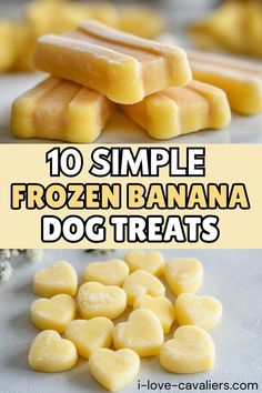 the top 10 simple frozen banana dog treats