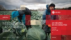 two people picking cabbage in a field with the caption recomre de l'assurance emploii