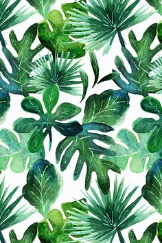 watercolor green leaves on white background