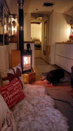 a dog is laying on the floor in front of an open fire place and pillows