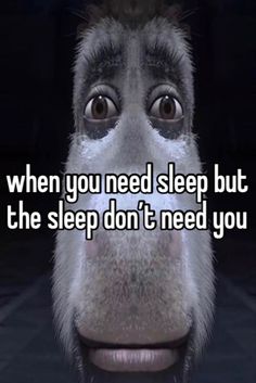 a monkey with the words when you need sleep but the sleep don't need you