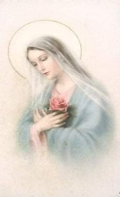 an image of the virgin mary holding a rose in her hands and wearing a veil