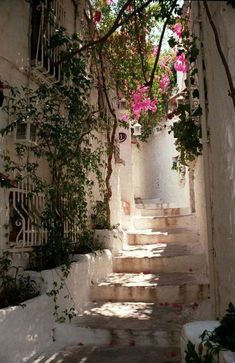 an alley way with flowers growing on the walls and steps leading up to it's entrance