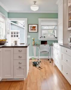 a dog laying on the floor in a kitchen