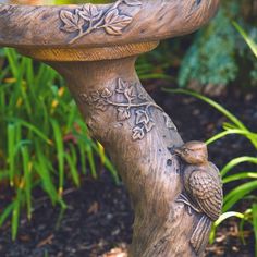 a bird is perched on the edge of a bird bath in front of some plants