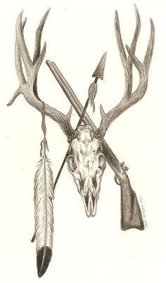 a drawing of a deer skull with two arrows in it's antlers and an arrow