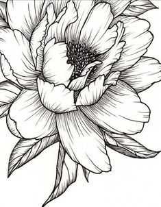 a black and white drawing of a flower