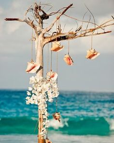 a tree with seashells hanging from it's branches on the beach next to the ocean