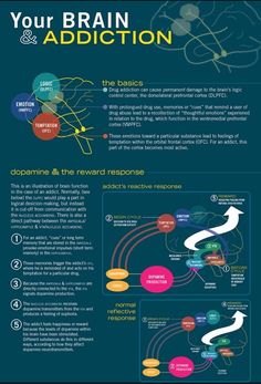 Fordham University, Health Disease, The Human Brain, Brain Science, Poster Series