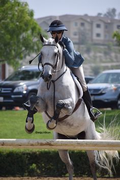 a person riding on the back of a white horse over an obstacle in front of parked cars