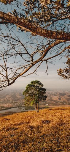 a lone tree on top of a hill overlooking a lake and hills in the distance