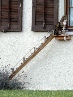 a cat sitting on top of a window sill next to a wooden stair case