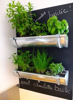 three metal planters filled with plants on top of a blackboard sign that says basil and herbs