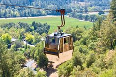 a gondola in the middle of a forest with lots of trees on both sides