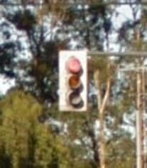 a traffic light hanging from the side of a metal pole next to a tree filled forest