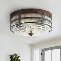 a light fixture in a room with a potted plant