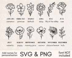 the different types of flowers are shown in black and white, with text below them