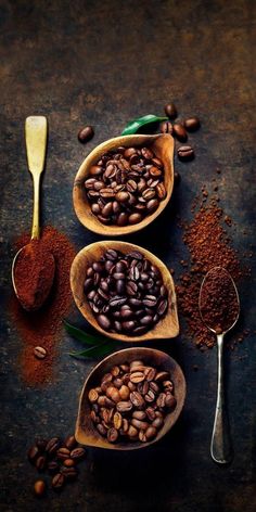 three wooden spoons filled with coffee beans